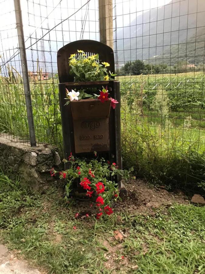 B&B La Rosa Dei Venti 아르코 외부 사진